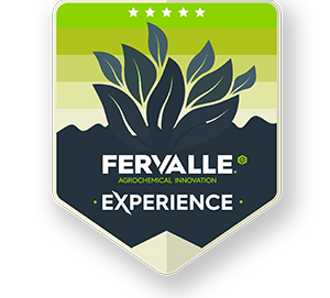 OLIVES - FERVALLE